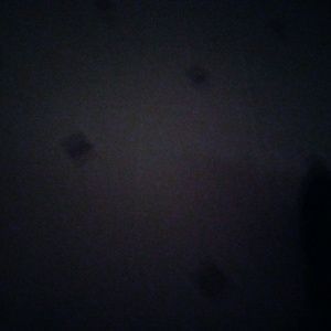 Meet your Posher, Esteban